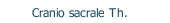 Cranio sacrale Th.
