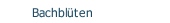 Bachbl&uuml;ten